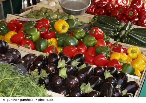 mediterran gumhold pixelio 470